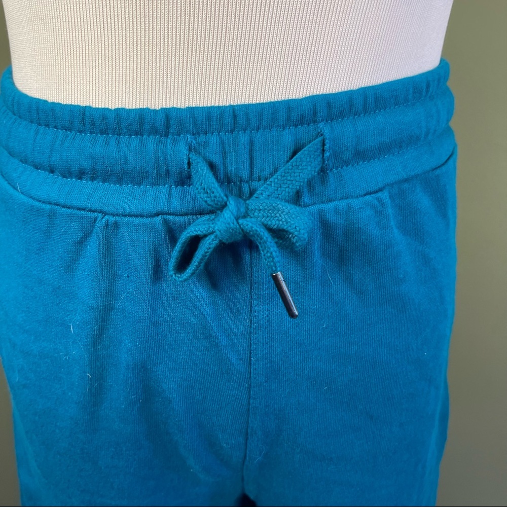 NWOT 4x (28W-30W) Terra & Sky shorts - Picture 2 of 8